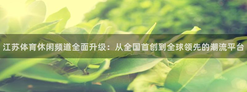 江苏体育休闲频道全面升级：从全国首创到全