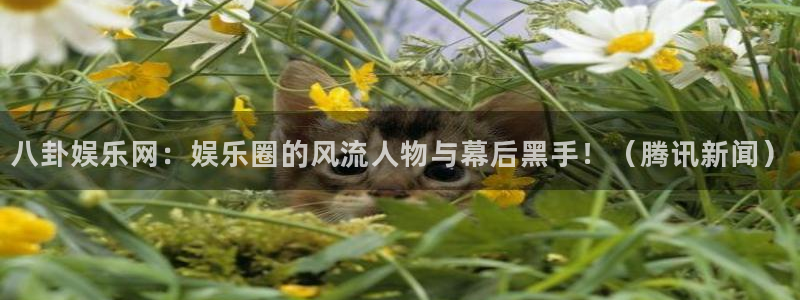 八卦娱乐网：娱乐圈的风流人物与幕后黑手！（腾讯新闻）