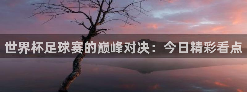 世界杯足球赛的巅峰对决：今日精彩看点