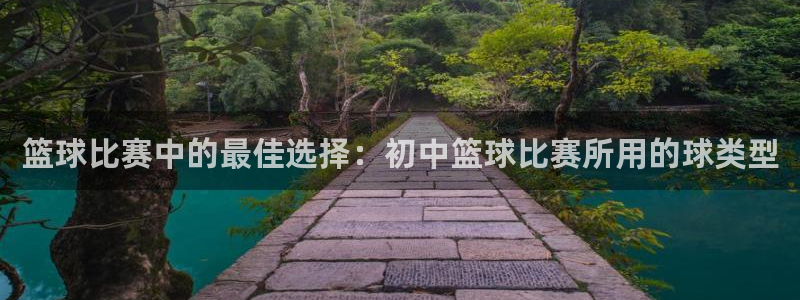 篮球比赛中的最佳选择：初中篮球比赛所用的球类型
