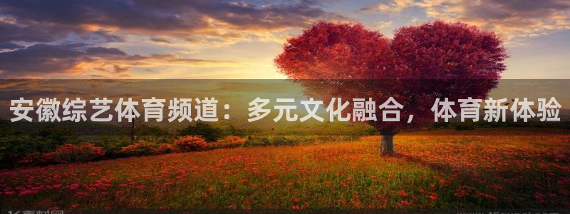 安徽综艺体育频道：多元文化融合，体育新体